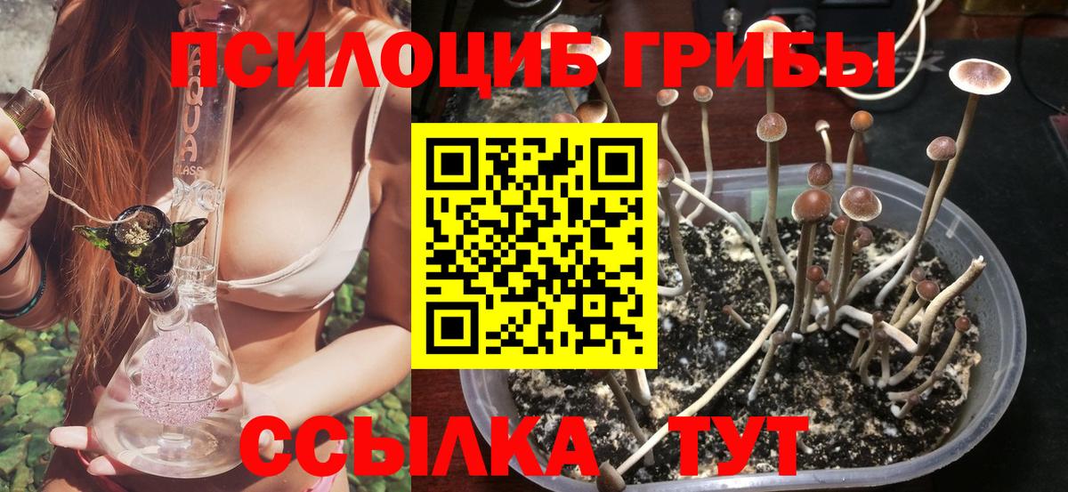 Советская Гавань  Галлюциногенные грибы прущие грибы  Псилоцибиновые грибы прущие грибы  Вход с VPN 
